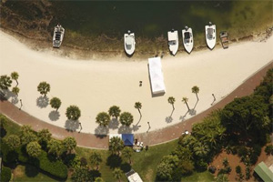 Disney alligator attack area