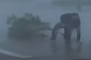 Weather Channel meteorologist Jim Cantore being struck by a tree branch while covering Hurricane Ian