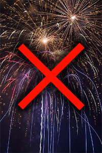 A photo of fireworks in the night sky with a red X superimposed